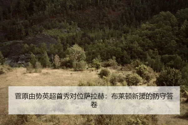 jian-yuan-you-shi-ying-chao-shou-xiu-dui-wei-sa-la-he-bu-lai-dun-xin-yuan-de-fang-shou-da-juan-3-509.jpg