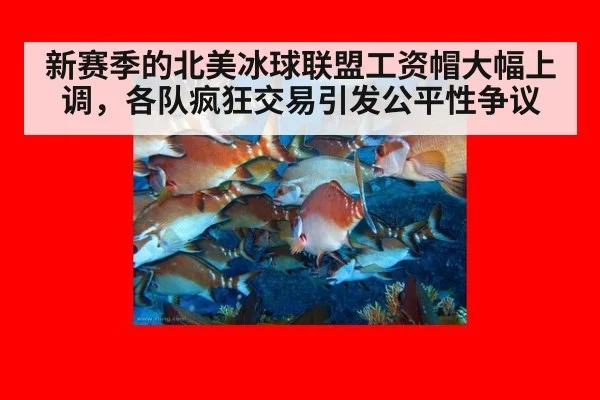 新赛季的北美冰球联盟工资帽大幅上调，各队疯狂交易引发公平性争议